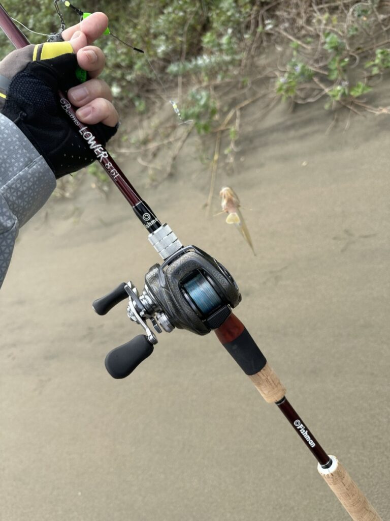 ハゼで楽しむ季節到来と、酔わせるジャリメと、ワーミングの話